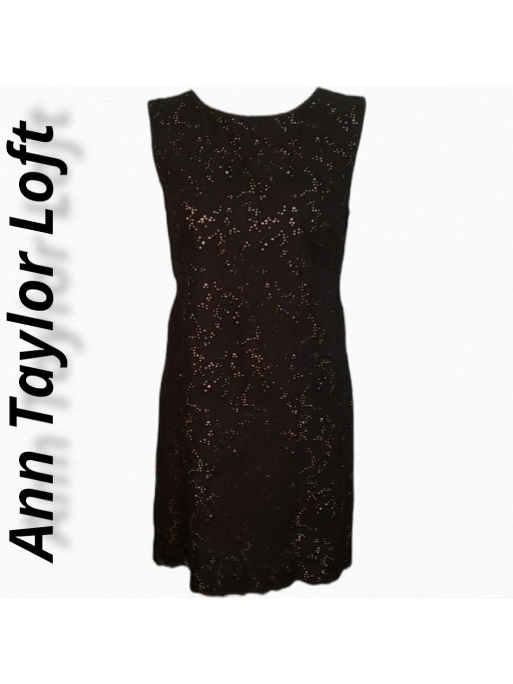 Ann Taylor Loft Shift Sleeveless Black Cotton Eyelet Lace Over Nude 8 VGUC